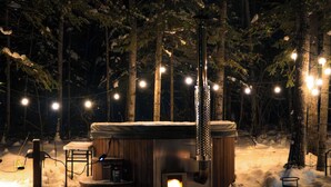 A wooden cabin with a fireplace, surrounded by snow and trees. - The Pine Loft Bunkie (Lac du Bonnet)
