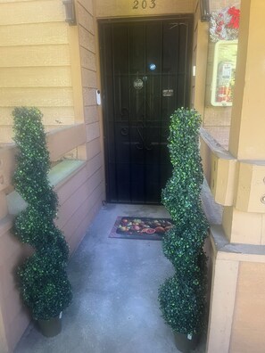 A black door with a number '203' above it, flanked by two potted plants, and a mat with fruit in front. -  1-bedroom condo with gas heat (Seattle)