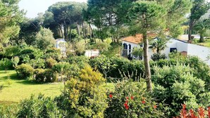 Un jardin luxuriant avec un bâtiment blanc, entouré d’arbres et d’arbustes.