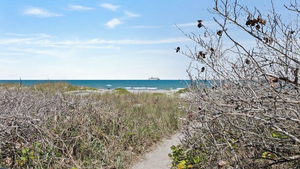 A beach path leading to the ocean with sparse vegetation and a clear sky. - Cozy 1BR Ground Floor Apartment Steps to Beach (Cocoa Beach)