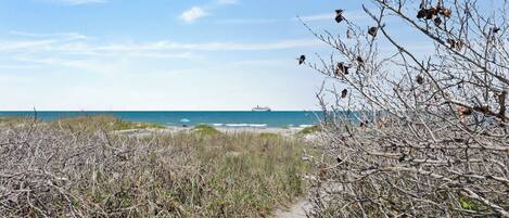 A beach path leading to the ocean with sparse vegetation and a clear sky.