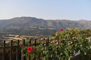 A garden with roses and a mountainous backdrop. - Hidden Gem in Crete — Totally Private Villa for up to 9 Guests (Rethymno)
