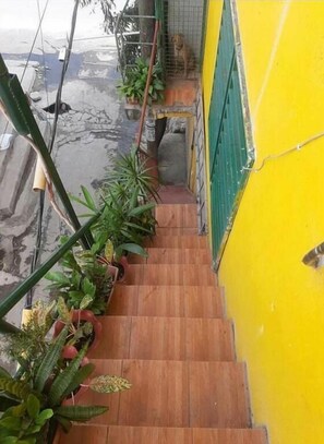 Detalhe da fachada