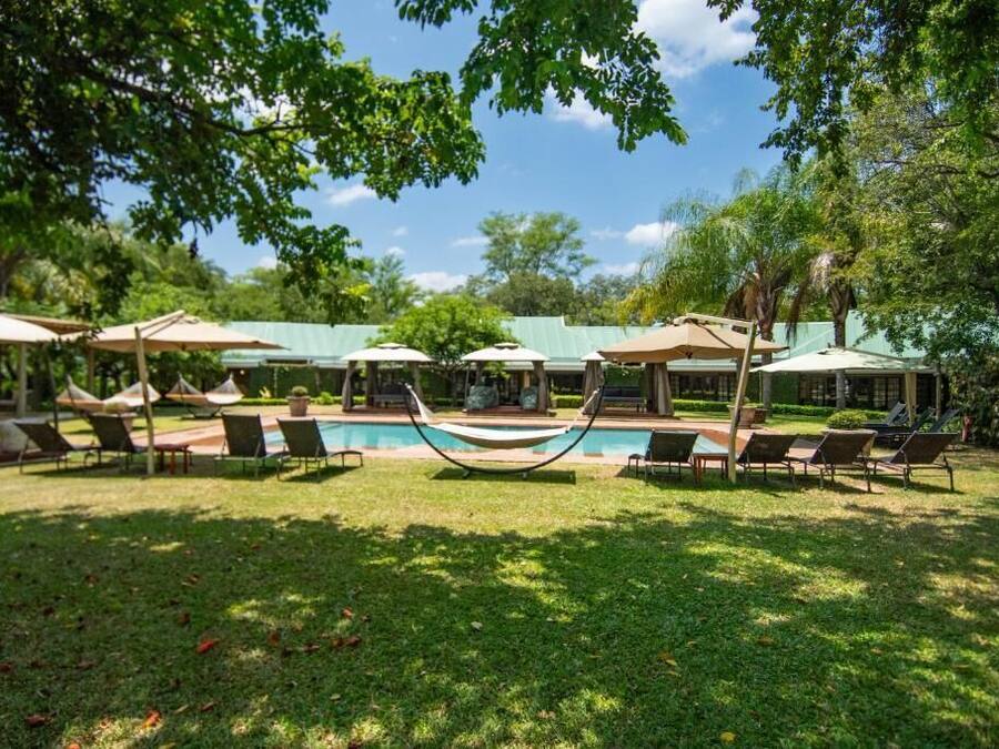 Una piscina al aire libre, sombrillas, sillones reclinables de piscina