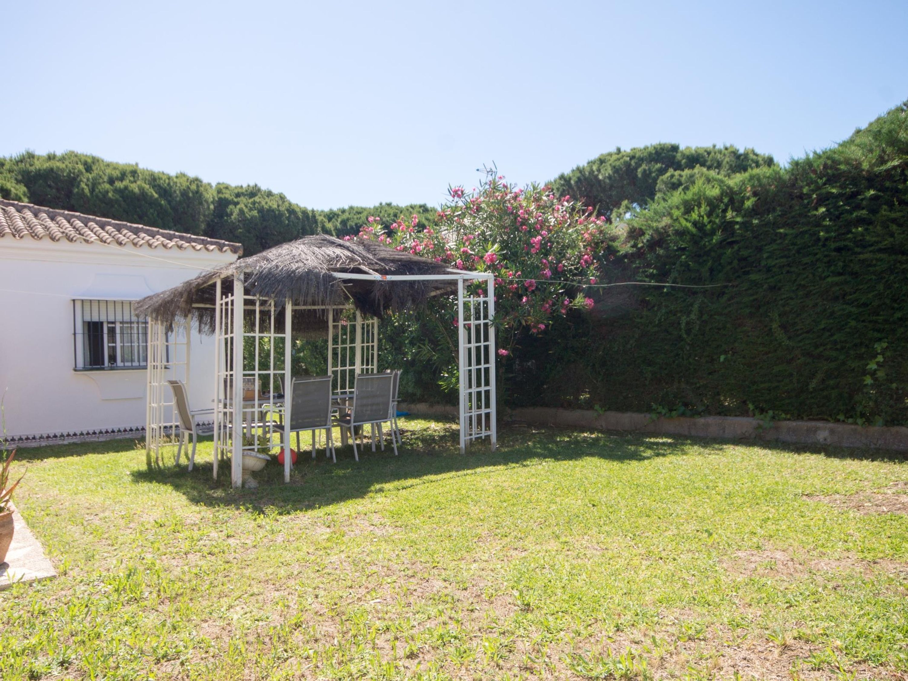 A house with a patio area, a thatched roof structure, and a garden with flowering plants.