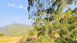 A garden with a stone pathway, a small seating area, and a view of a hilly landscape. - Star Place Homestays (Kodaikanal)