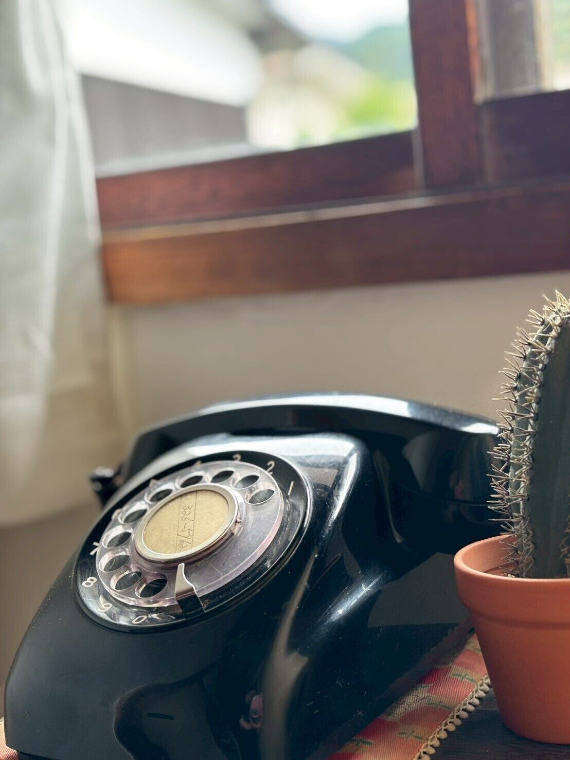 Un vieux téléphone à cadran rotatif, un cactus en pot et une fenêtre donnant sur un paysage verdoyant.