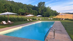 A rectangular swimming pool with a tiled deck, surrounded by lounge chairs and umbrellas, set against a backdrop of lush greenery and hills.