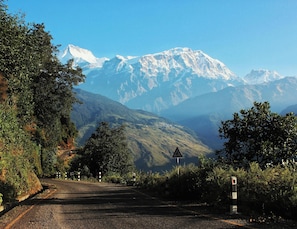 Miscellaneous - Bhujung Homestay (Bhujung)