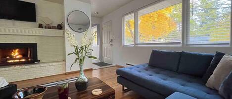 TV, fireplace