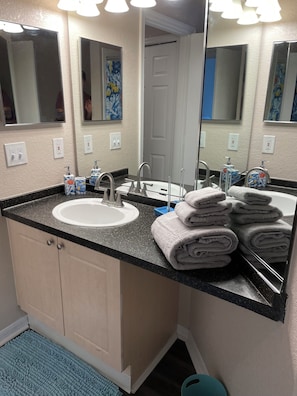 Hair dryer, towels, soap, toilet paper - Cozy 1-bedroom Apartment Heart Of Downtown Detroit (Detroit)
