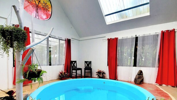 An indoor swimming pool with potted plants, a skylight, and red curtains. - Peaceful family house Destiny Homes (Pocosol)