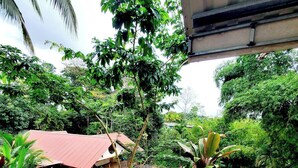 A lush garden with a red-roofed structure, a paved pathway, and a variety of tropical plants. - Peaceful family house Destiny Homes (Pocosol)