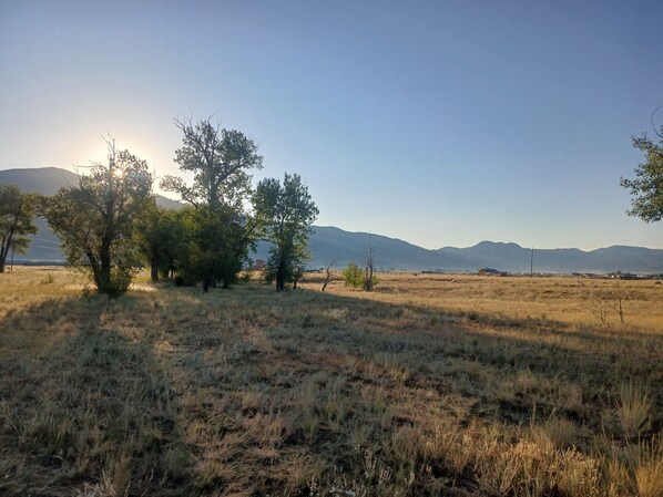 Un campo cubierto de hierba con árboles y montañas a lo lejos.