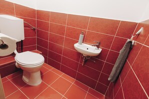 Douche, sèche-cheveux, serviettes fournies, savon