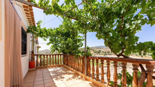 A balcony with a tiled floor, a wooden railing, and a view of a vineyard.