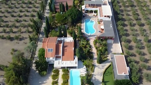 Ein Luftbild zeigt ein Anwesen mit Swimmingpool, überdachter Terrasse und angelegtem Garten.