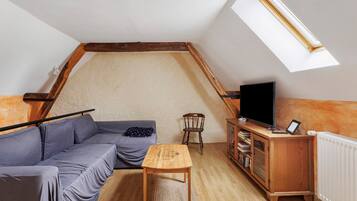 TV, fireplace, table tennis