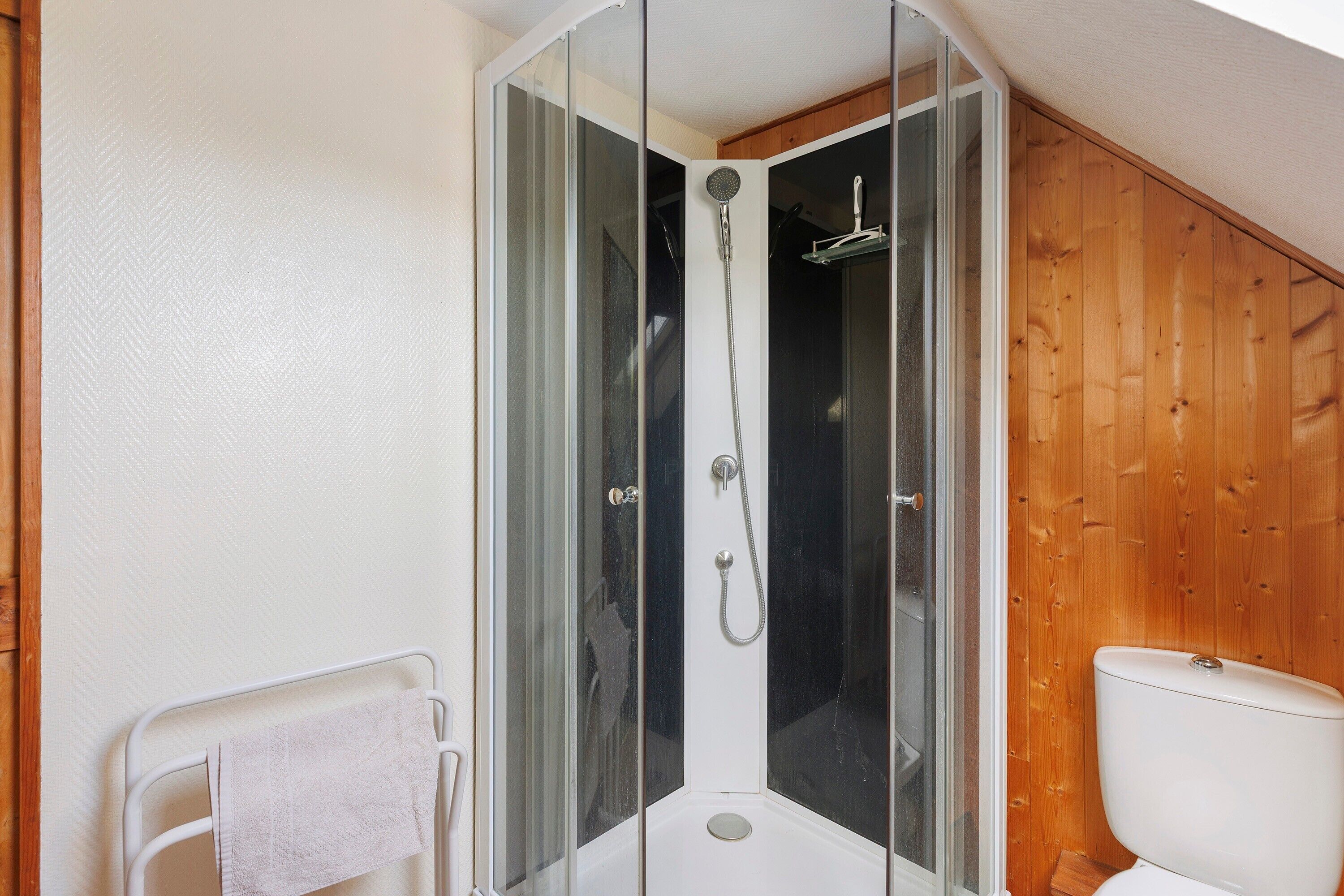 Een douchecabine met glazen deuren, een wit toilet en een houten wand.