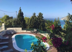 Une piscine entourée de chaises longues, de verdure et offrant une vue sur la mer.