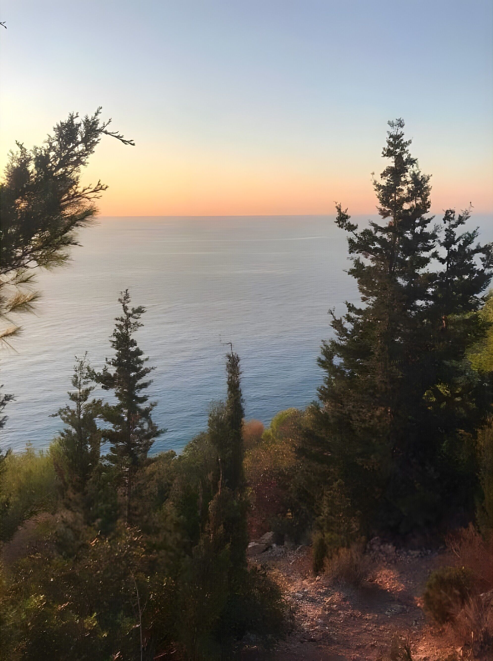 Un paisaje costero con árboles y una vista despejada del mar.