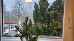 Ikkunassa on ruukussa oleva kasvi, pieni taloa muistuttava koriste-esine sekä näkymä ulkona oleviin puihin ja rakennukseen.