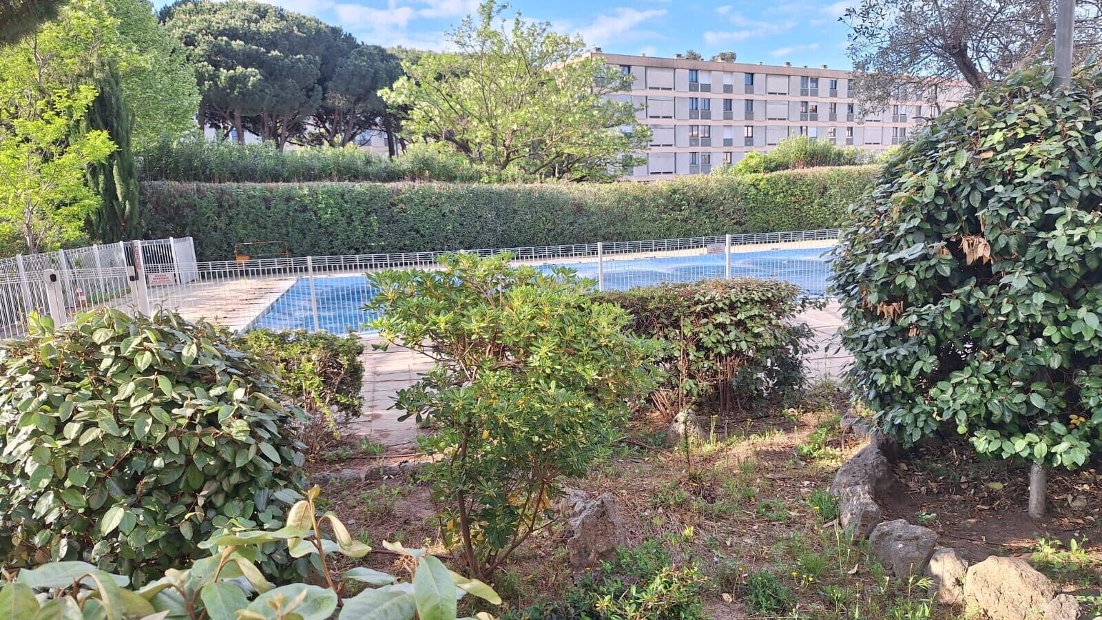 A swimming pool surrounded by greenery, a fenced area, and a building in the background.