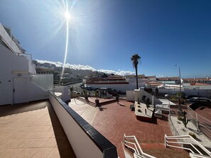 Een terras op het dak met een helder uitzicht over de stadsrand, een palmboom en een cactustuin.