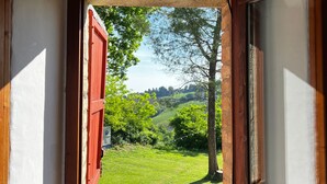Una ventana con vista a un paisaje verde, un árbol y un cielo despejado.