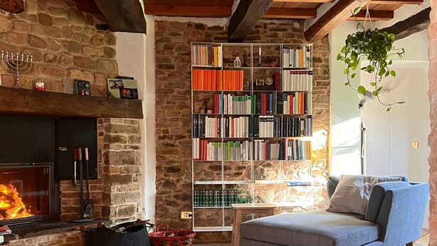Una sala de estar acogedora con chimenea, una estantería, un sofá y una planta colgante.