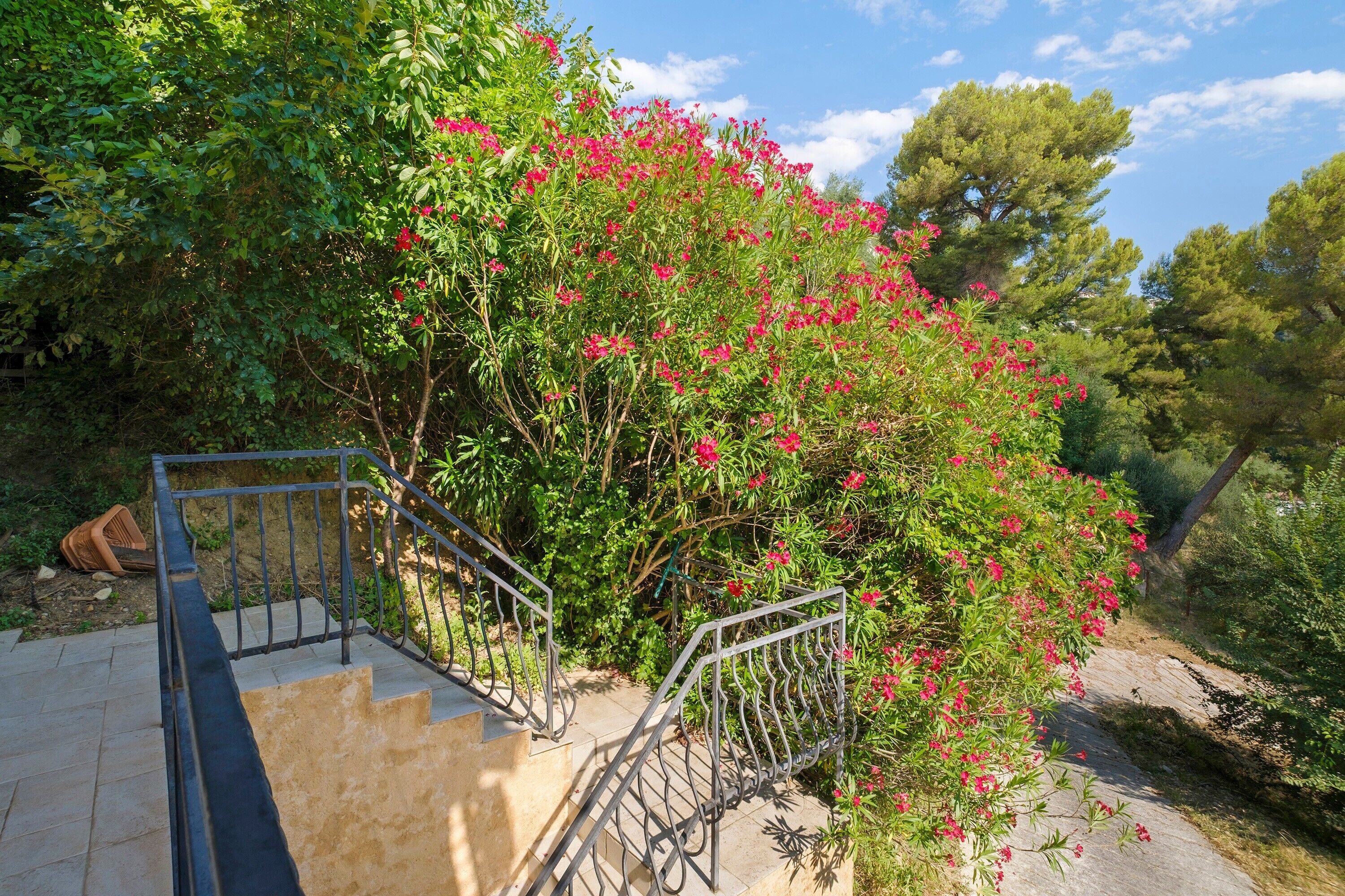 A staircase with metal railings leading to a stone platform, surrounded by lush greenery and trees.