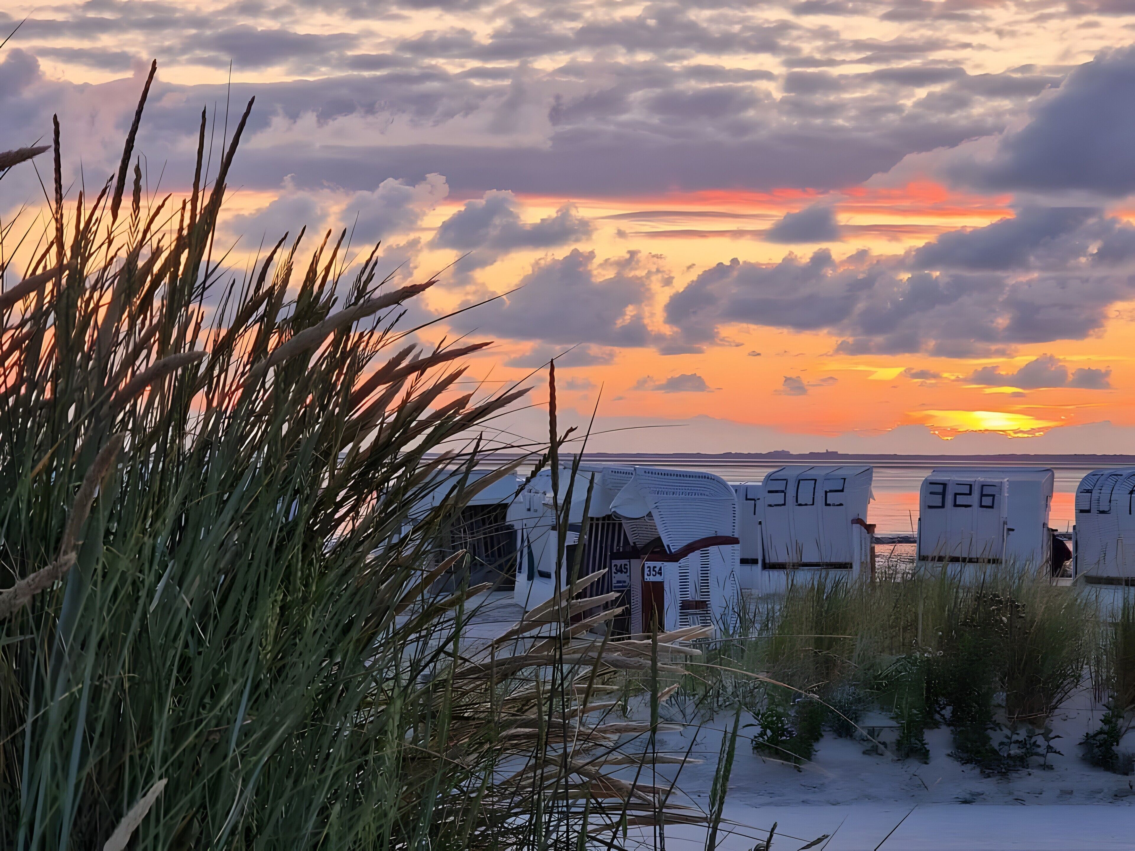 A row of RVs with visible identification numbers, set against a sunset sky with clouds.