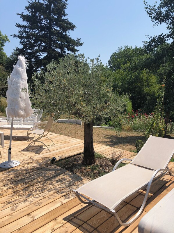 Eine Holzterrasse mit Liegestühlen und einem weißen Zierbaum.