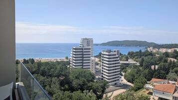 Comfort-Apartment, Veranda, Meerblick | Terrasse/Patio