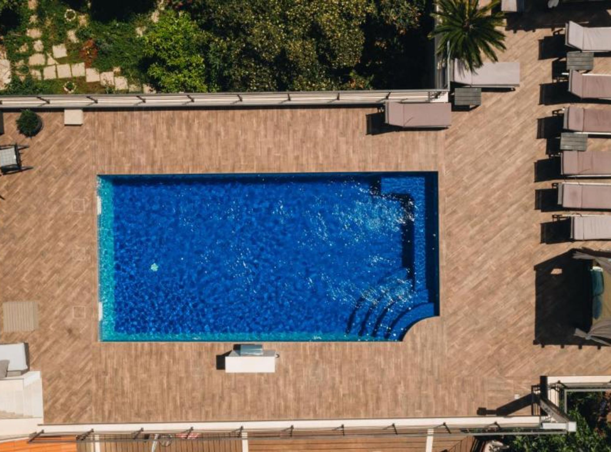 Une piscine sur le toit, avec une terrasse en bois, entourée de chaises longues et d’un palmier.
