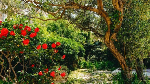 Um caminho de pedra cercado por vegetação exuberante e flores vermelhas.