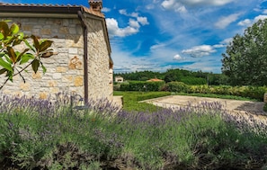 A stone building with a garden featuring lavender. - Luxurious home in Visnjan (Visnjan)