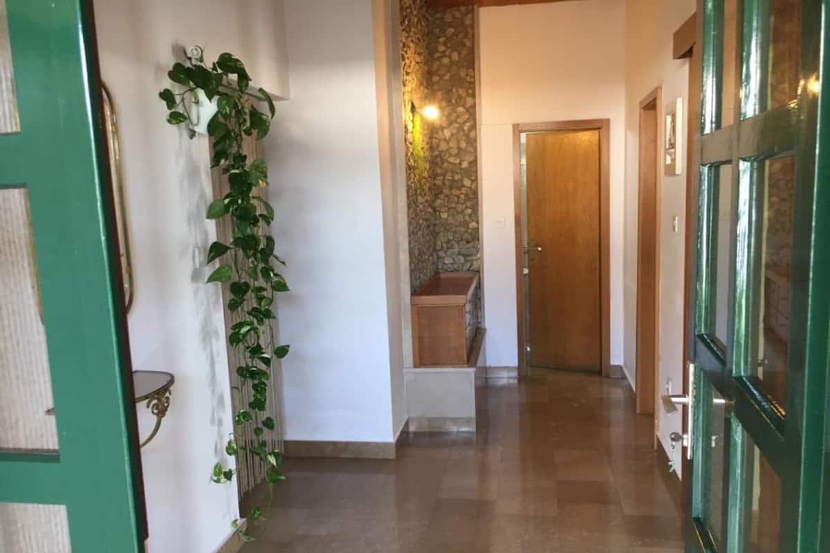 Un pasillo con una puerta verde, una planta, un muro de piedra y una puerta de madera al final.