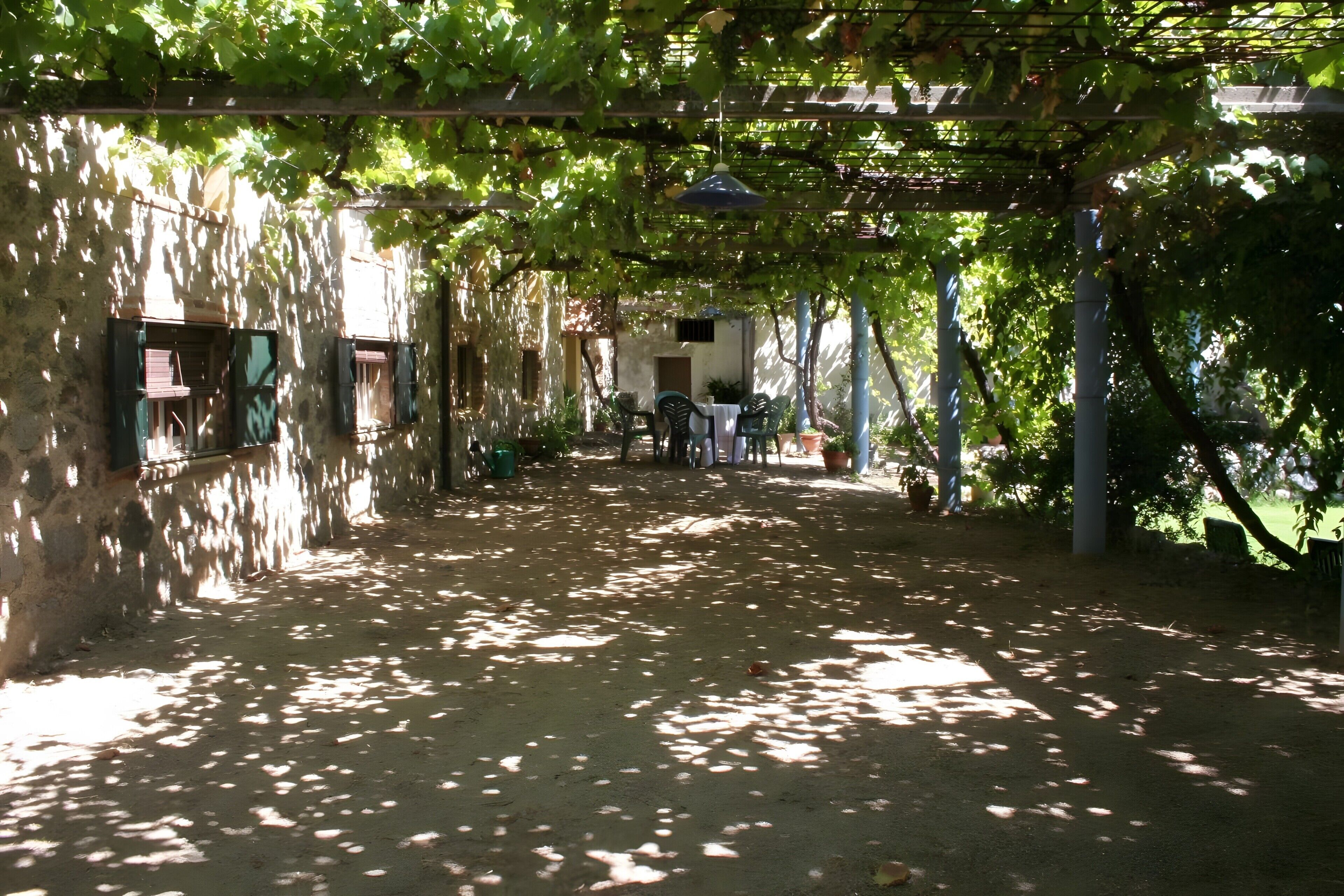 A covered outdoor area with a dirt floor, a pergola with vines, and a table with chairs.