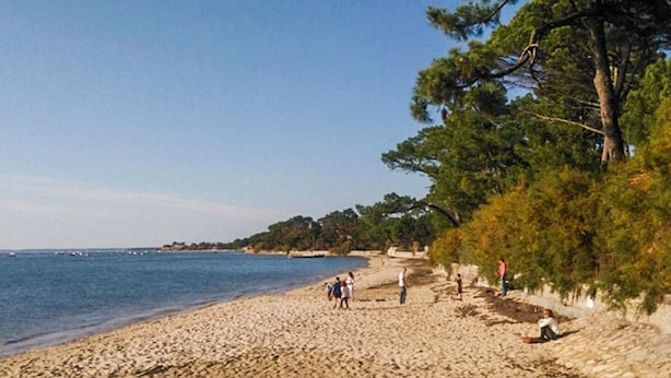 A beach with people, trees, and a clear sky. - Lovely home in Lanton (Lanton)