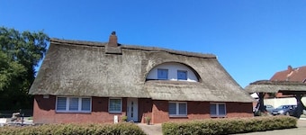 Relax under thatch with pool, beach chairs and loungers
