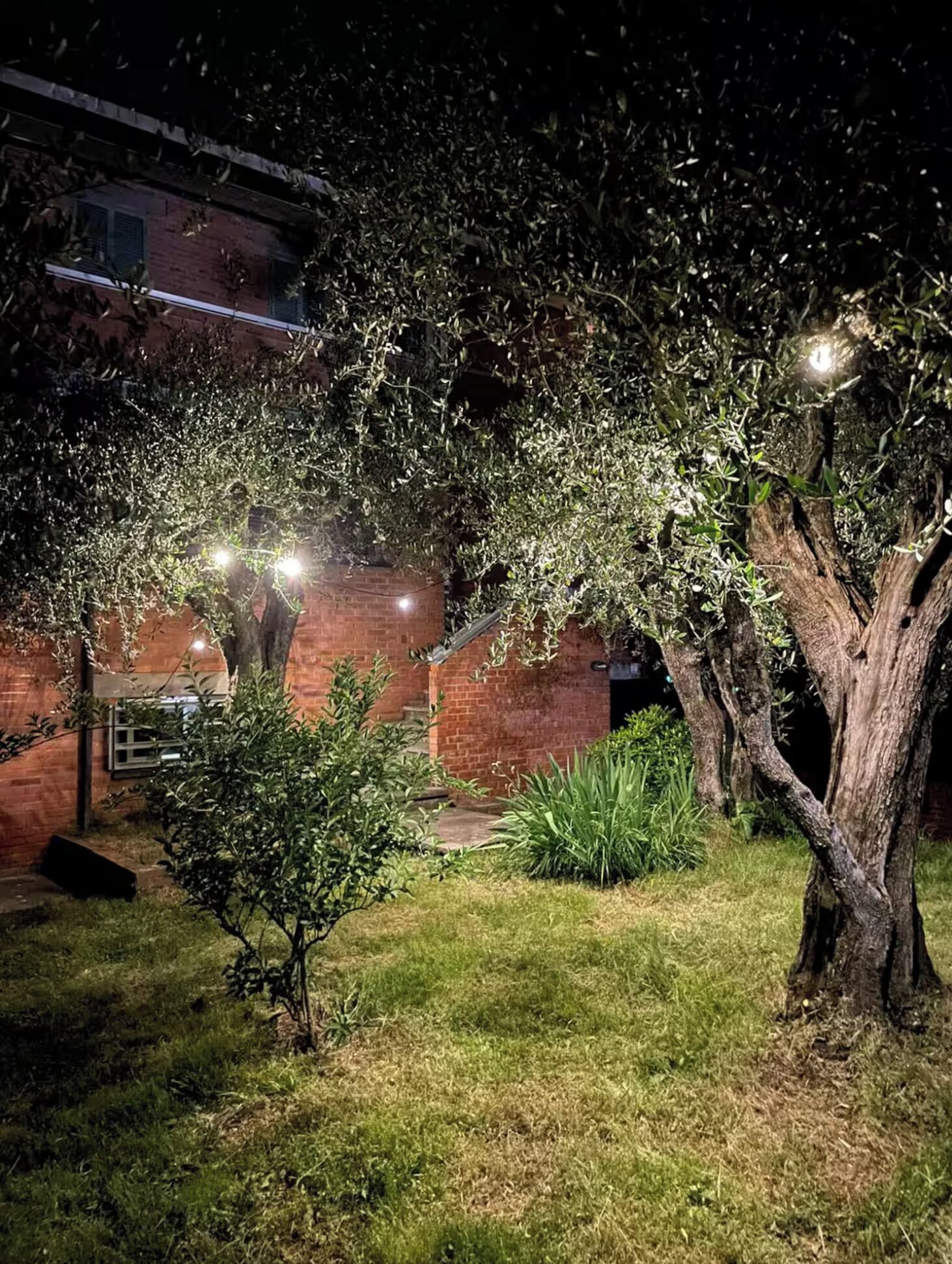 A garden with trees and a brick building.