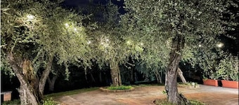 Villa Colleviti 10/14p - Tuscany Design Villa