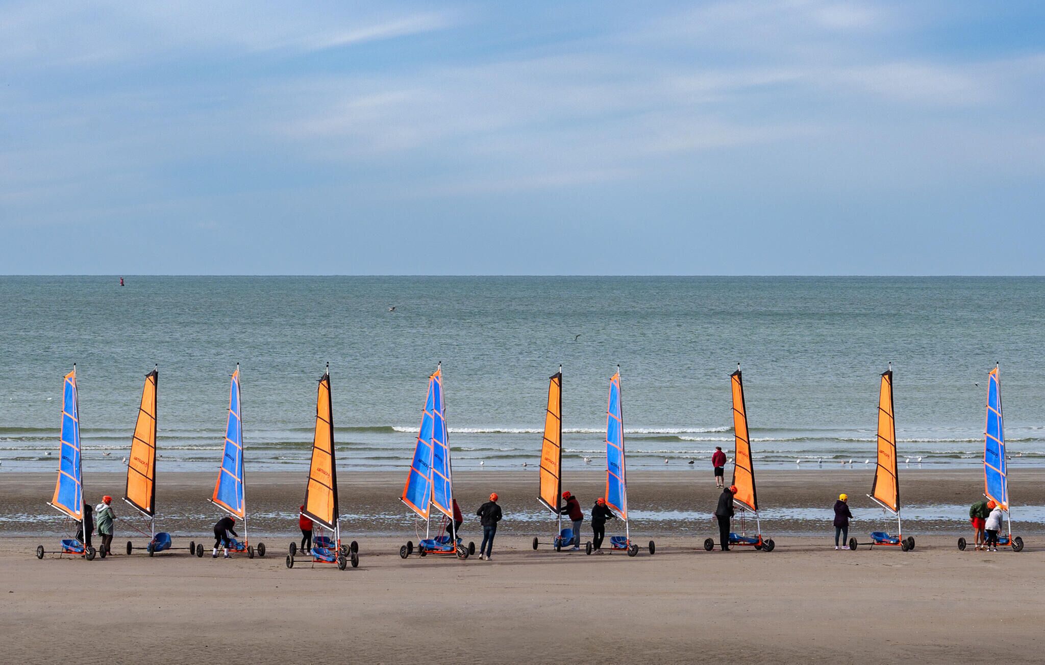 Una playa con varios equipos de windsurf alineados.