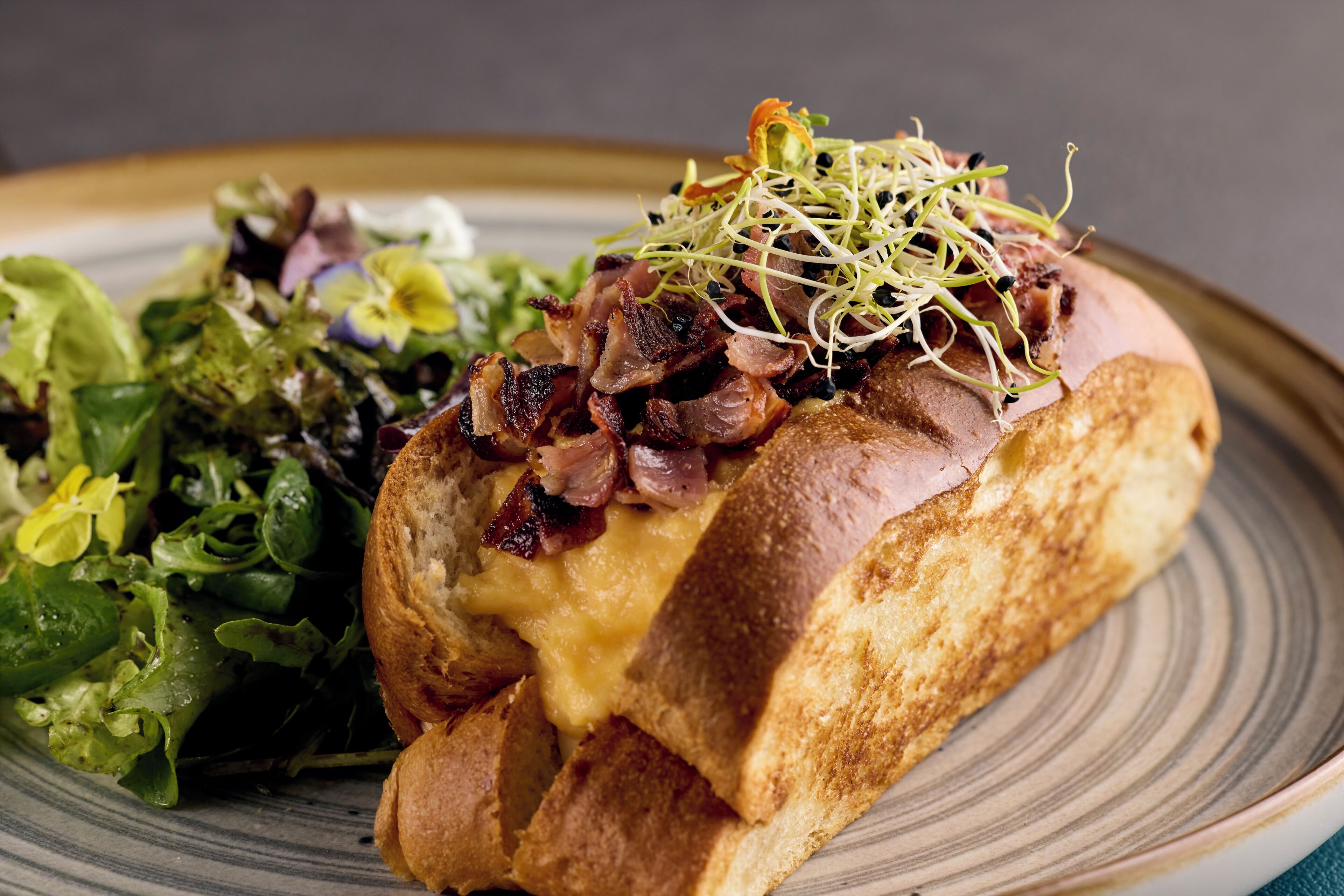 Ein Teller mit einem Sandwich, Sprossen und Speck.