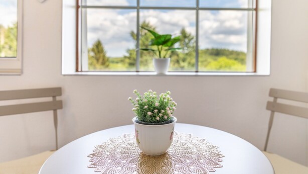A round table with a white tablecloth and a potted plant in the center.