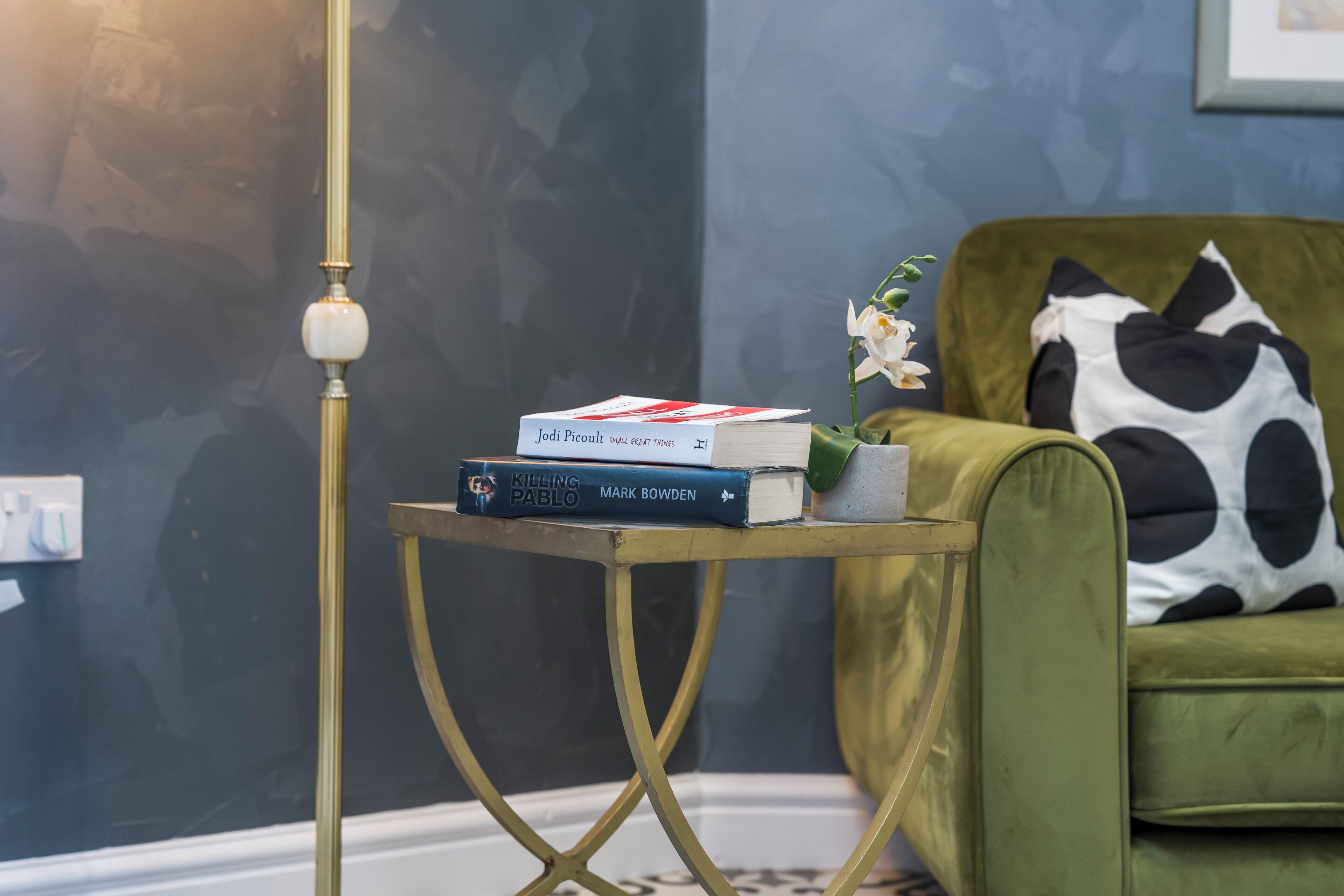 Un canapé vert avec un coussin noir et blanc, une petite table avec des livres et une lampe sur pied.