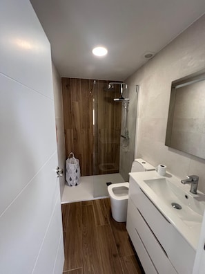 Shower, hair dryer, bidet, towels