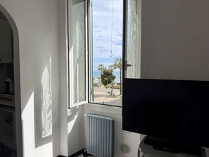 Una habitación con un ventanal grande, un radiador y un televisor.