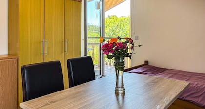 Awesome apartment in Medulin with WiFi